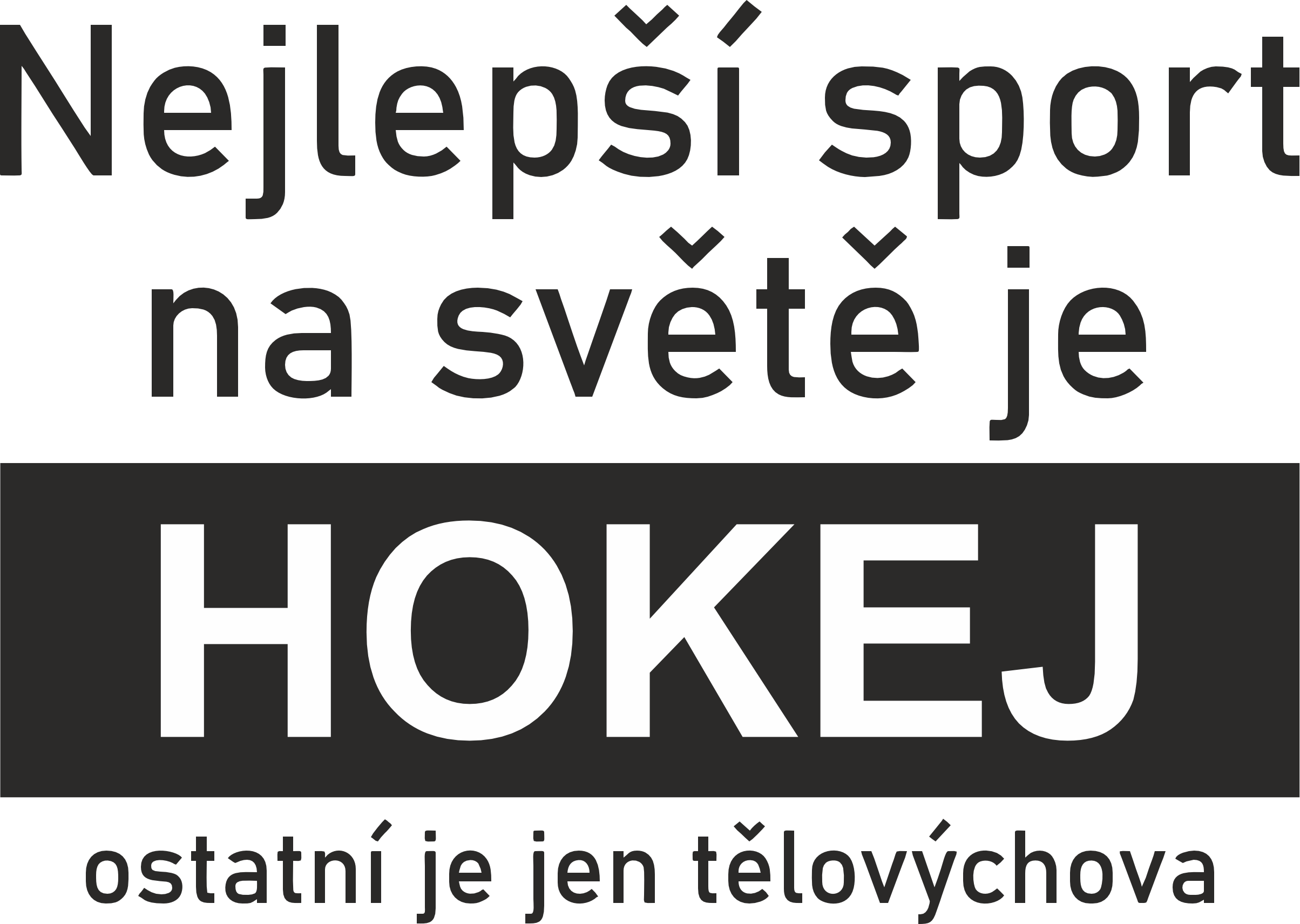 310 Hokej